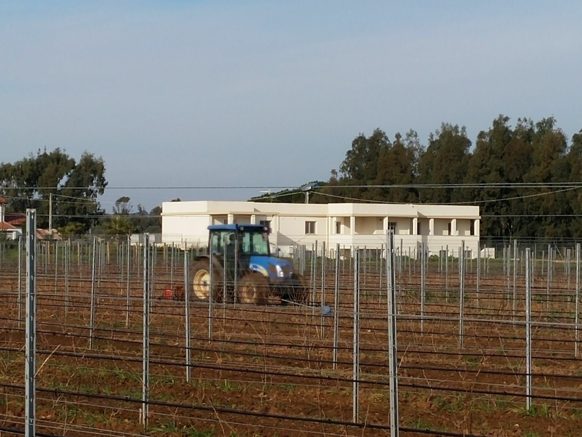 Maris Villa Alghero Buitenkant foto